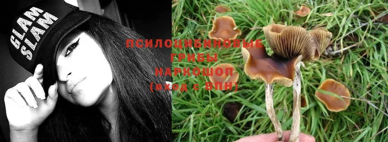 купить наркотики сайты  Воткинск  Галлюциногенные грибы MAGIC MUSHROOMS 